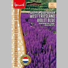 Шалфей West-Friesland Violet Blue (большой пакет)