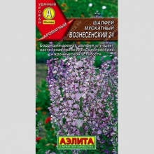 Шалфей Вознесенский 24