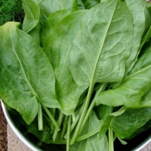 Щавель Бабушкины Пирожки