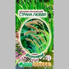 Щетинник Страна Любви итальянский
