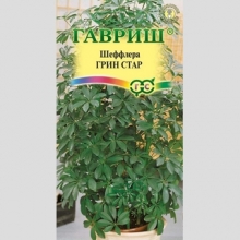 Шеффлера Грин Стар