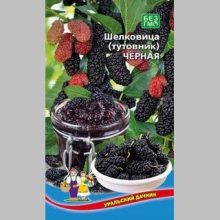 Шелковица (тутовник) Чёрная