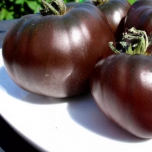 Томат Черный Гигант