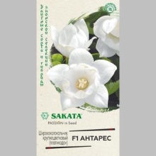 Платикодон Антарес F1