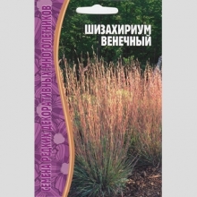 Шизахириум Венечный (большой пакет)