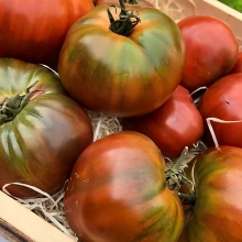 Томат Шоколадный заяц