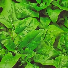 Шпинат Хоровод