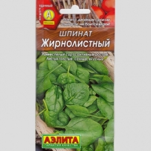 Шпинат Жирнолистный