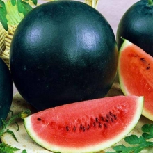 Арбуз Сибирская Роза