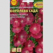 Сидальцея Королева сада