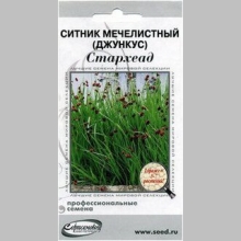 Ситник Стархеад (Джункус) мечелистный