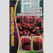 Скумпия кожевенная (большой пакет)