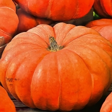 Тыква Сладкий пирог