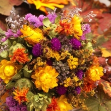 Смесь сухоцветов Зимняя сказка (большой пакет)