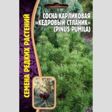 Сосна Кедровый Стланик (большой пакет)