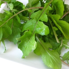 Рукола культурная (индау) Спартак