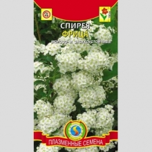 Спирея Фрица