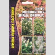 Спирея рябинолистная