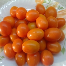 Томат Спрут Сливка Оранжевый F1