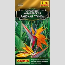 Стрелиция Райская птичка королевская