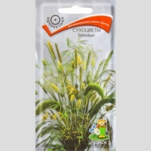 Сухоцветы Злаковые