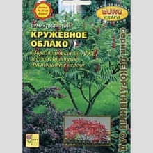 Сумах Кружевное облако (уксусный)