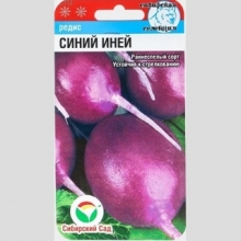 Редис Синий иней