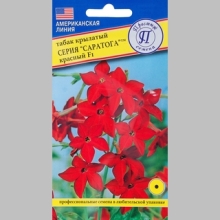 Табак Саратога Красный F1 крылатый