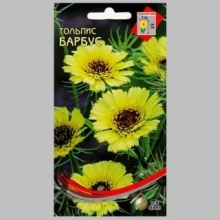 Тольпис Барбус