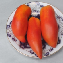 Томат Аббатиста (большой пакет)