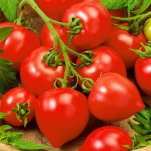 Томат Эйва F1