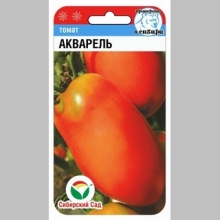 Томат Акварель