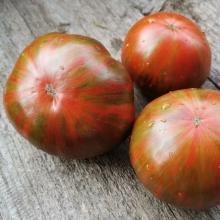 Томат Гном Энди Страйп (Andy’s Stripes)