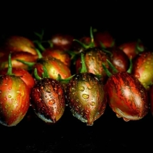 Томат Атомный виноград Брэда