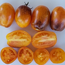 Томат Атомный Закат Солнца (Atomic Sunset)