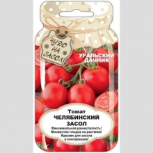 Томат Челябинский Засол