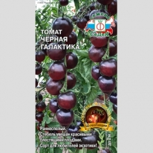 Томат Черная Галактика (ШокоЛандия)