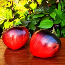 Томат Черное Сердце Брэда (Brad’s Black Heart) (большой пакет)