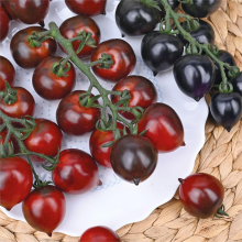 Томат Черный дракон F1