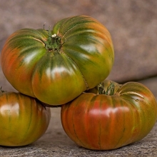 Томат Дикий тимьян