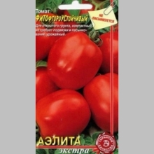 Томат ФИТОфтороУСтойчивый