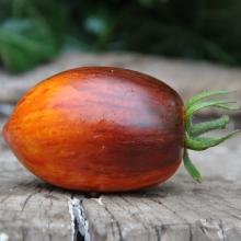 Томат Гаргамель