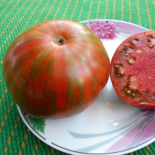 Томат Странная вещь девочки (Girl Girl`s Weird Thing)