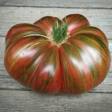 Томат Гном Фредс Тай Дай (Dwarf Fred’s Tie Dye)