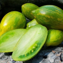 Томат Гном Соуси Мэри