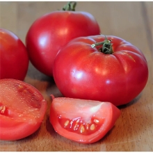 Томат Гном ЗСО (Dwarf ZSO)