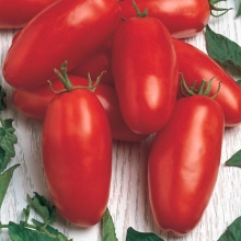 Томат Император F1