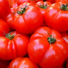 Томат Король Крупных