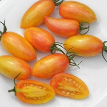 Томат Крем Брюле