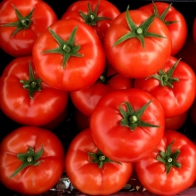 Томат Лилос F1